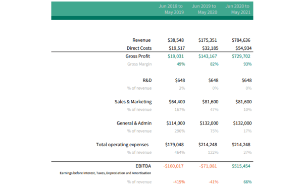 Financial Planning - Profit and Loss Statement