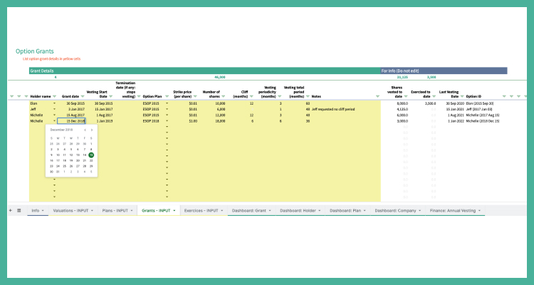 Record up to 100 Option Grants